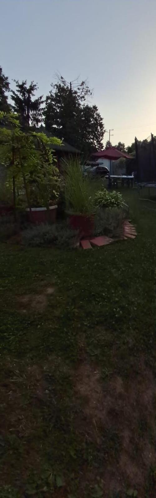 Azbella Zelena Meraja *