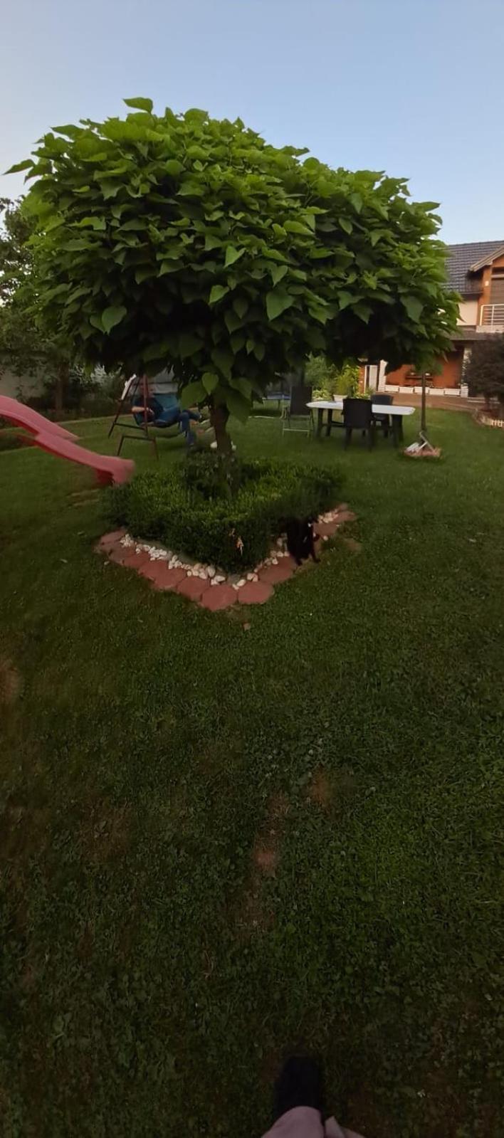 Azbella Zelena Meraja Villa