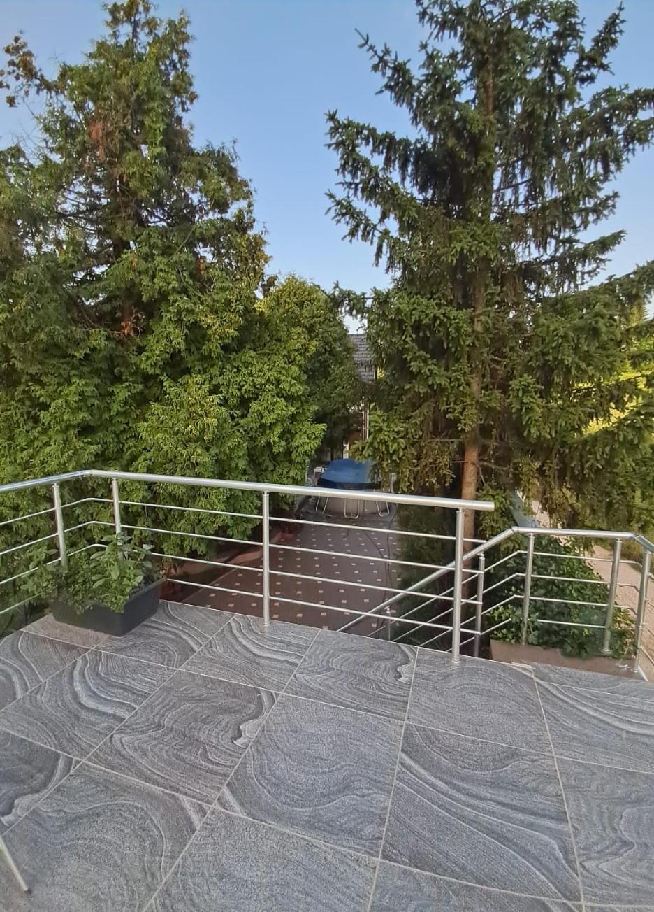Azbella Zelena Meraja Sarajevo